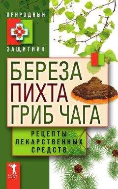 Ю. Николаева - Береза, пихта и гриб чага. Рецепты лекарственных средств