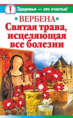 Ирина Белова - Вербена – святая трава, исцеляющая все болезни