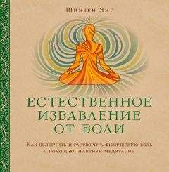 Шинзен Янг - Естественное избавление от боли. Как облегчить и растворить физическую боль с помощью практики медитации