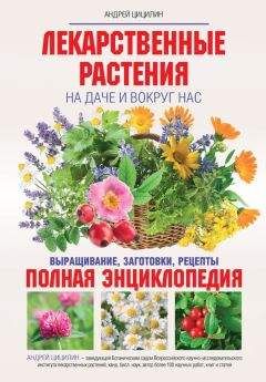 Андрей Цицилин - Лекарственные растения на даче и вокруг нас. Полная энциклопедия