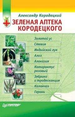 Александр Кородецкий - Зеленая аптека Кородецкого: золотой ус, индийский лук, стевия и другие