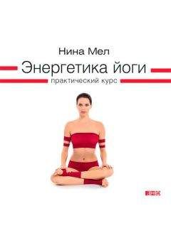 Нина Мел - Энергетика йоги. Практический курс