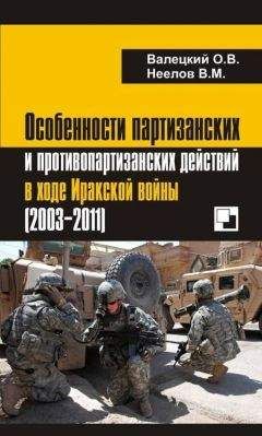 Олег Валецкий - Особенности партизанских и противопартизанских действий в ходе Иракской войны (2003-2011)
