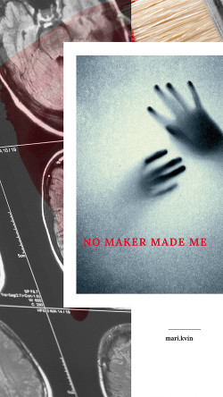 No Maker Made Me (СИ) - "mari.kvin"