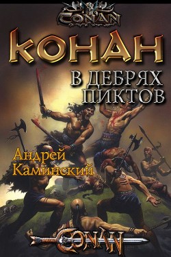 Конан в дебрях пиктов (СИ) - Каминский Андрей Игоревич