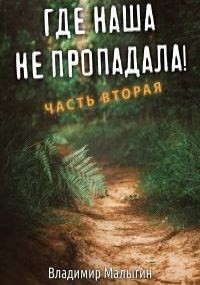 Где наша не пропадала 2 (СИ) - Малыгин Владимир