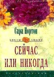 Сара Нортон - Сейчас или никогда