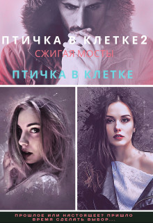 Птичка в клетке 2 (СИ) - Илина Дина