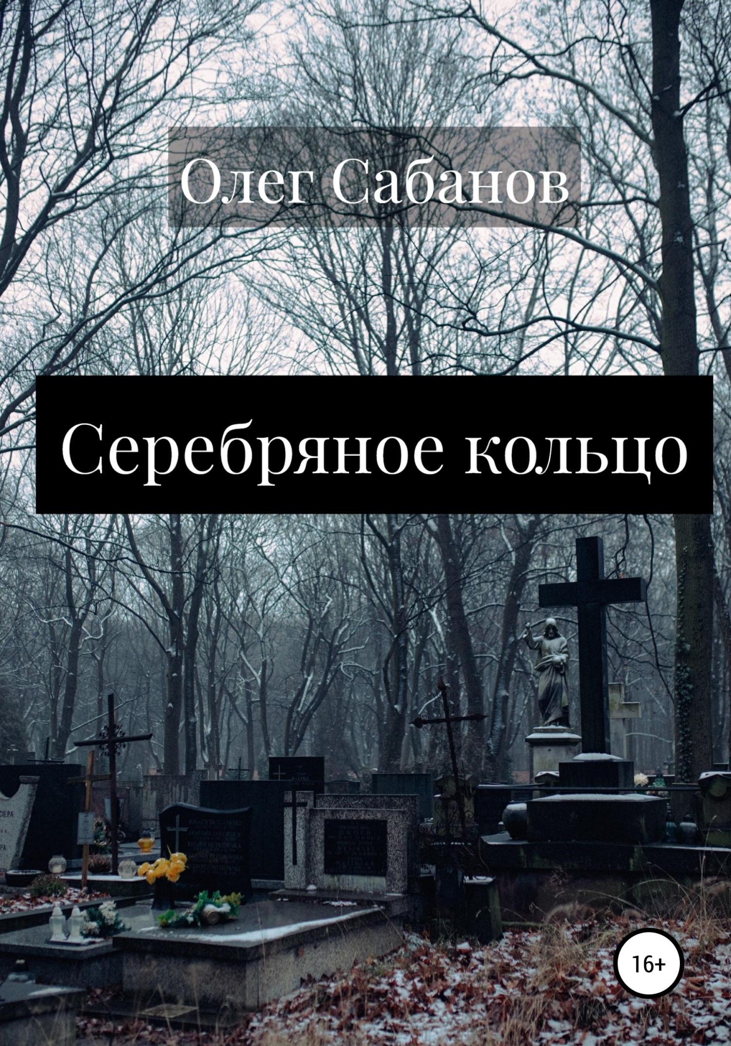 Серебряное кольцо - Олег Александрович Сабанов