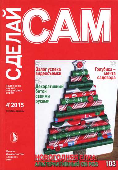 Залог успеха видеосъемки. Голубика-мечта садовода...(&quot;Сделай сам&quot; №4∙2015) - Рубина