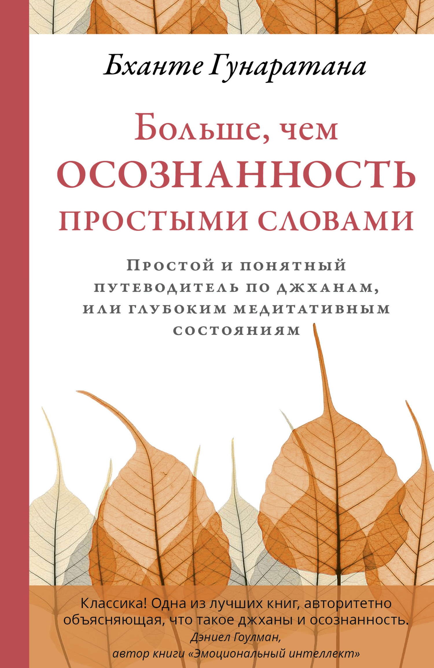 Больше, чем осознанность простыми словами. Простой и понятный путеводитель по джханам, или глубоким медитативным состояниям - Бханте Хенепола Гунаратана