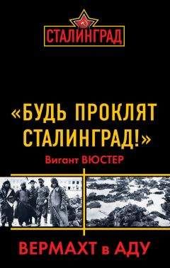 Вигант Вюстер - «Будь проклят Сталинград!» Вермахт в аду