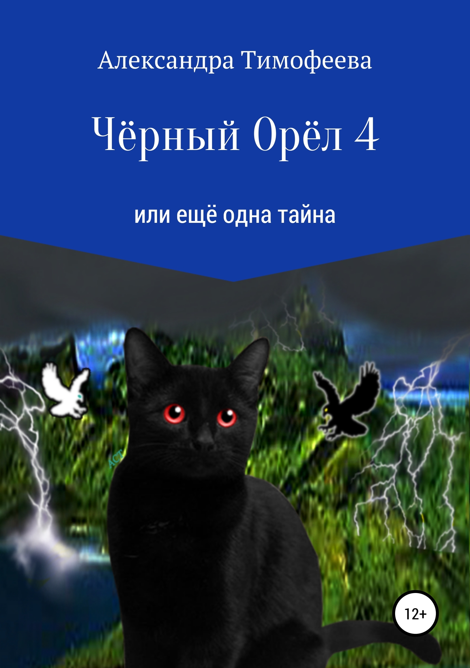 Чёрный Орёл 4 или ещё одна тайна - Александра Сергеевна Тимофеева