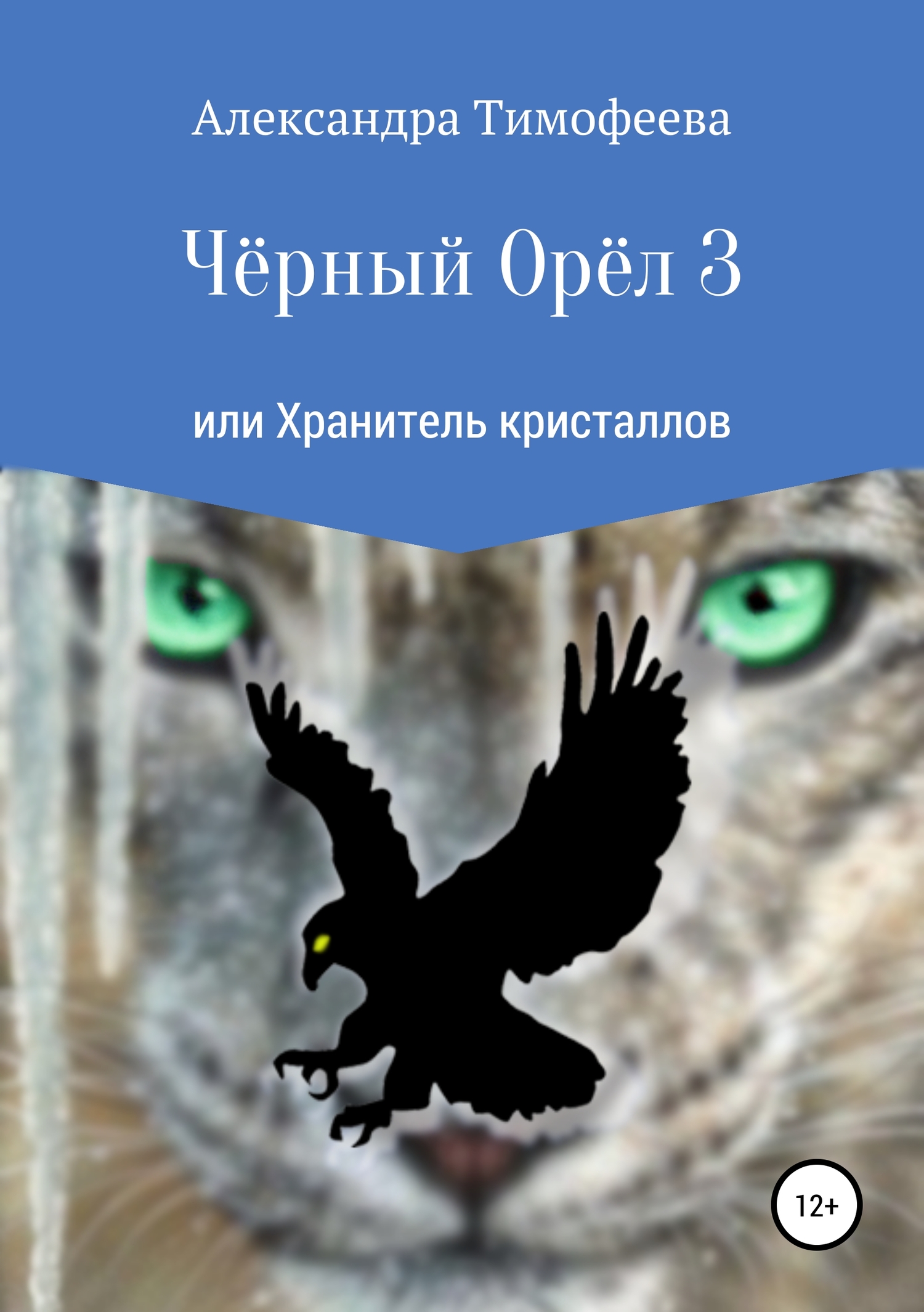 Чёрный Орёл 3 или Хранитель кристаллов - Александра Сергеевна Тимофеева