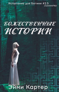 Божественные истории (ЛП) - Картер Эйми