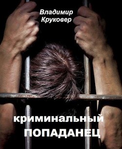 Криминальный попаданец (СИ) - Круковер Владимир Исаевич