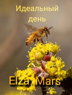 Идеальный день (СИ) - "Elza Mars"