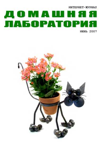 Интернет-журнал &quot;Домашняя лаборатория&quot;, 2007 №6 - Усманов