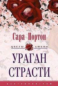 Сара Нортон - Ураган страсти