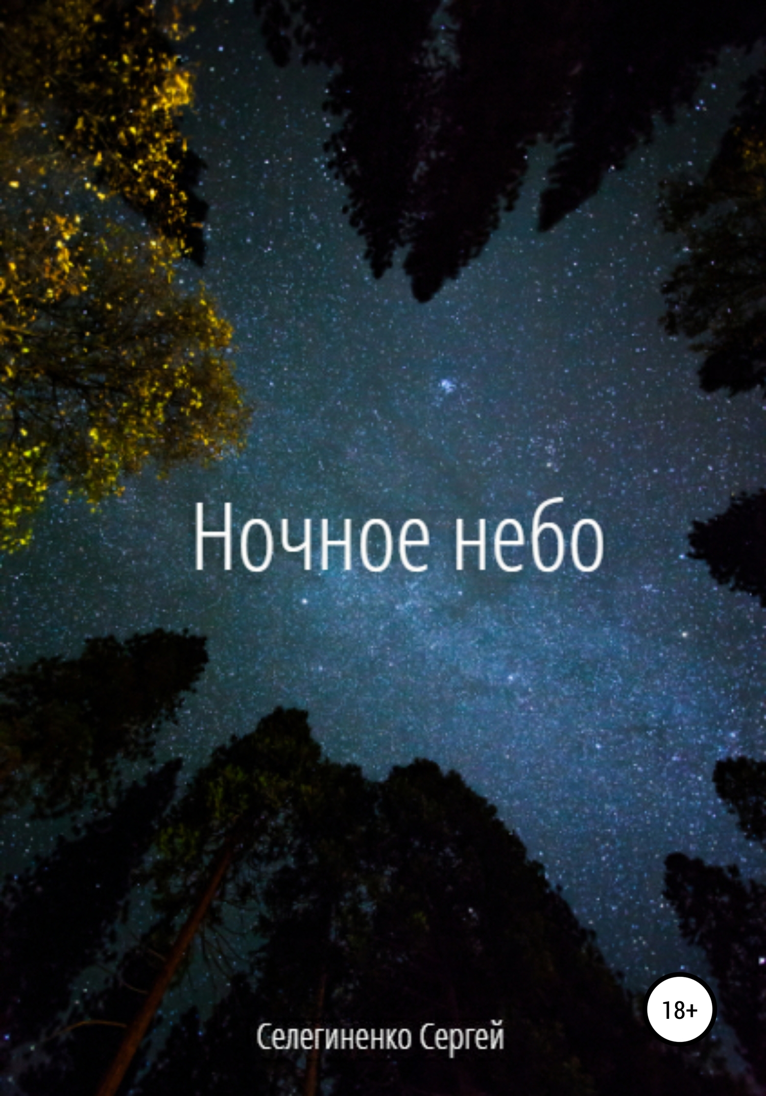 Ночное небо - Сергей Александрович Селегиненко