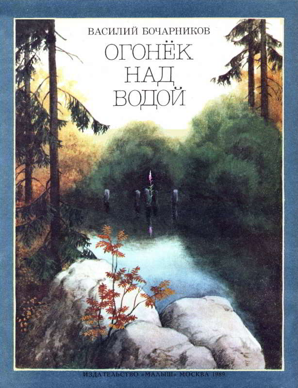 Огонёк над водой - Василий Алексеевич Бочарников