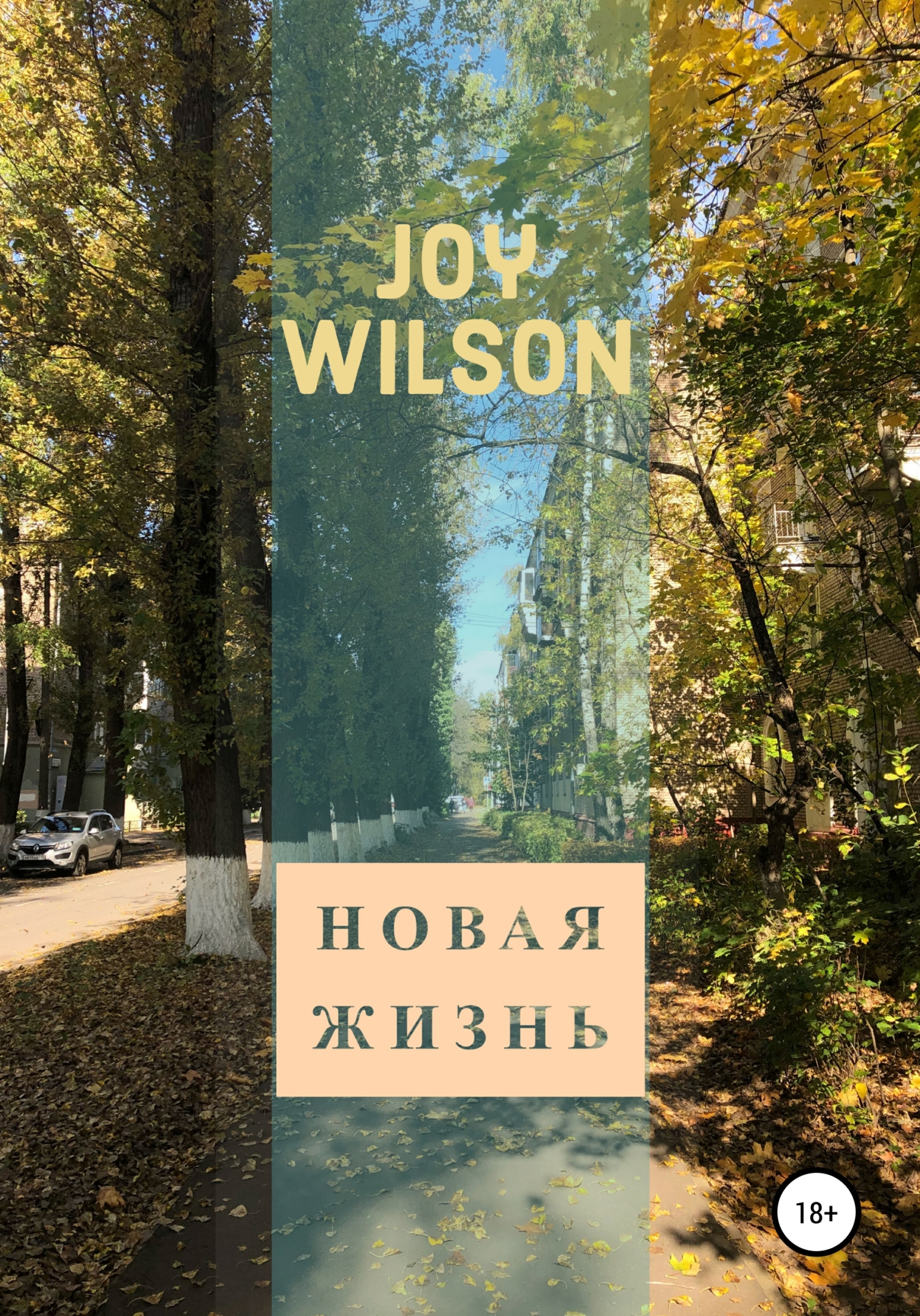 Новая жизнь - Joy Wilson