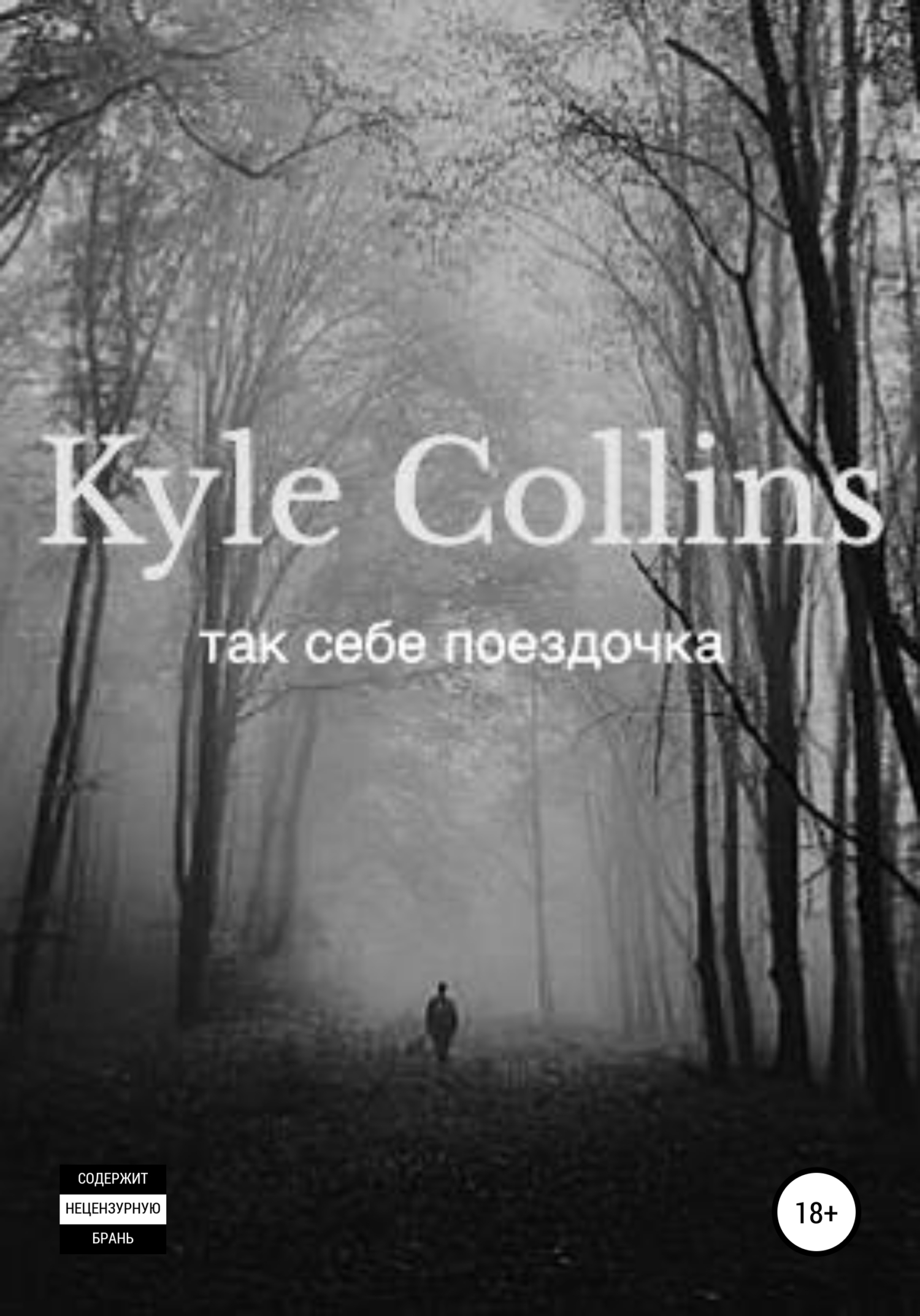 Так себе поездочка - Kyle Collins