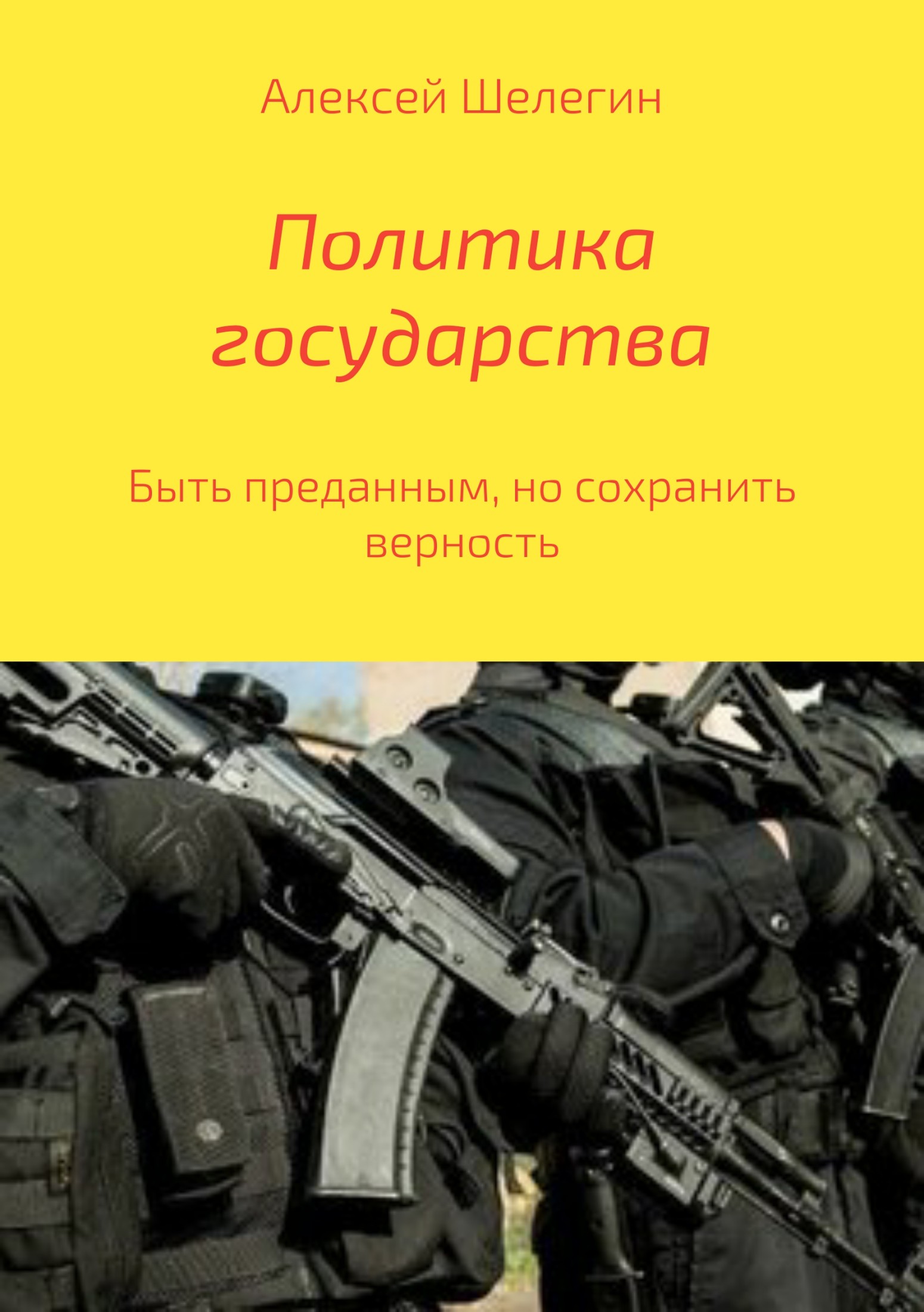 Политика государства - Алексей Владимирович Шелегин