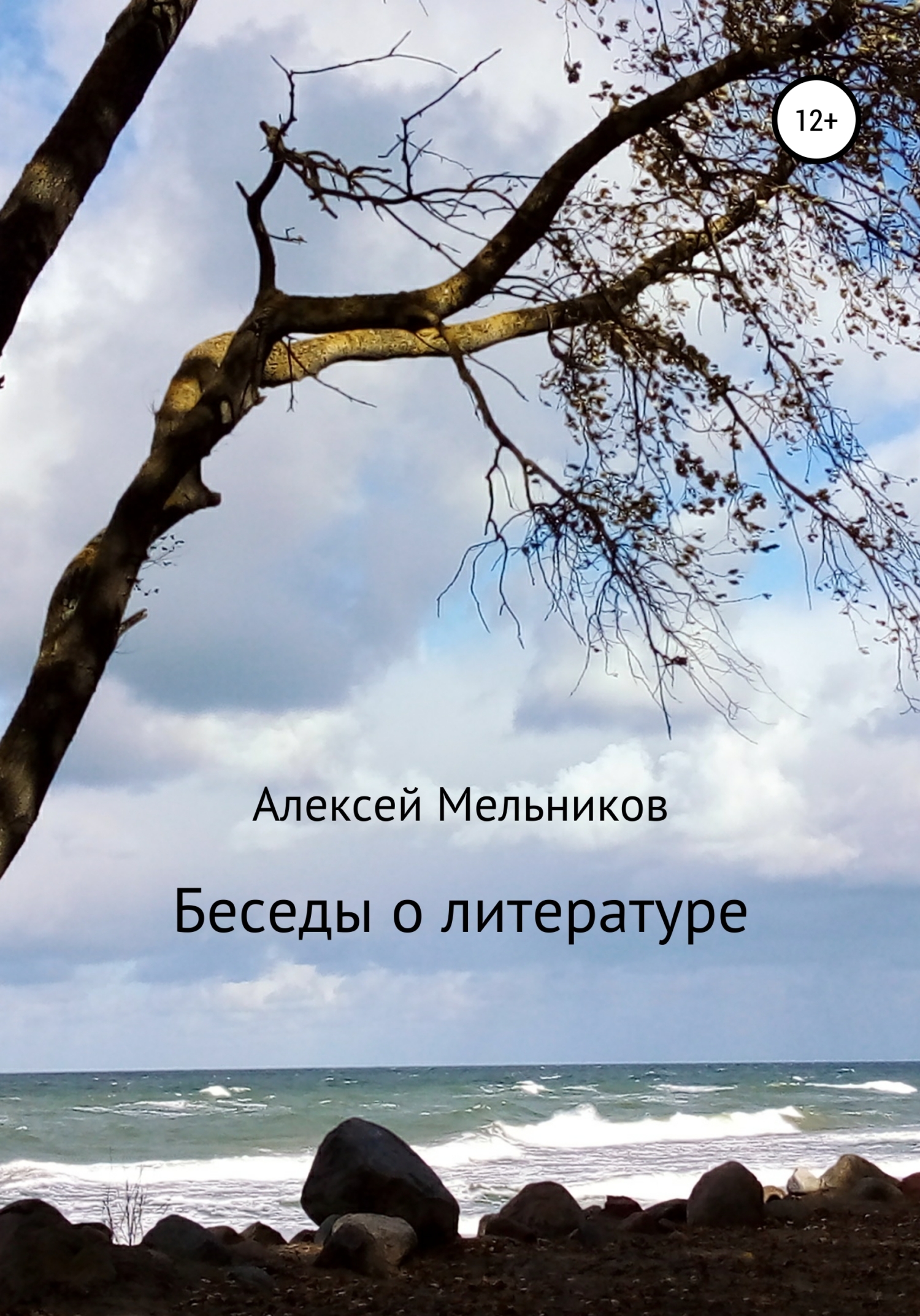 Беседы о литературе - Алексей Мельников