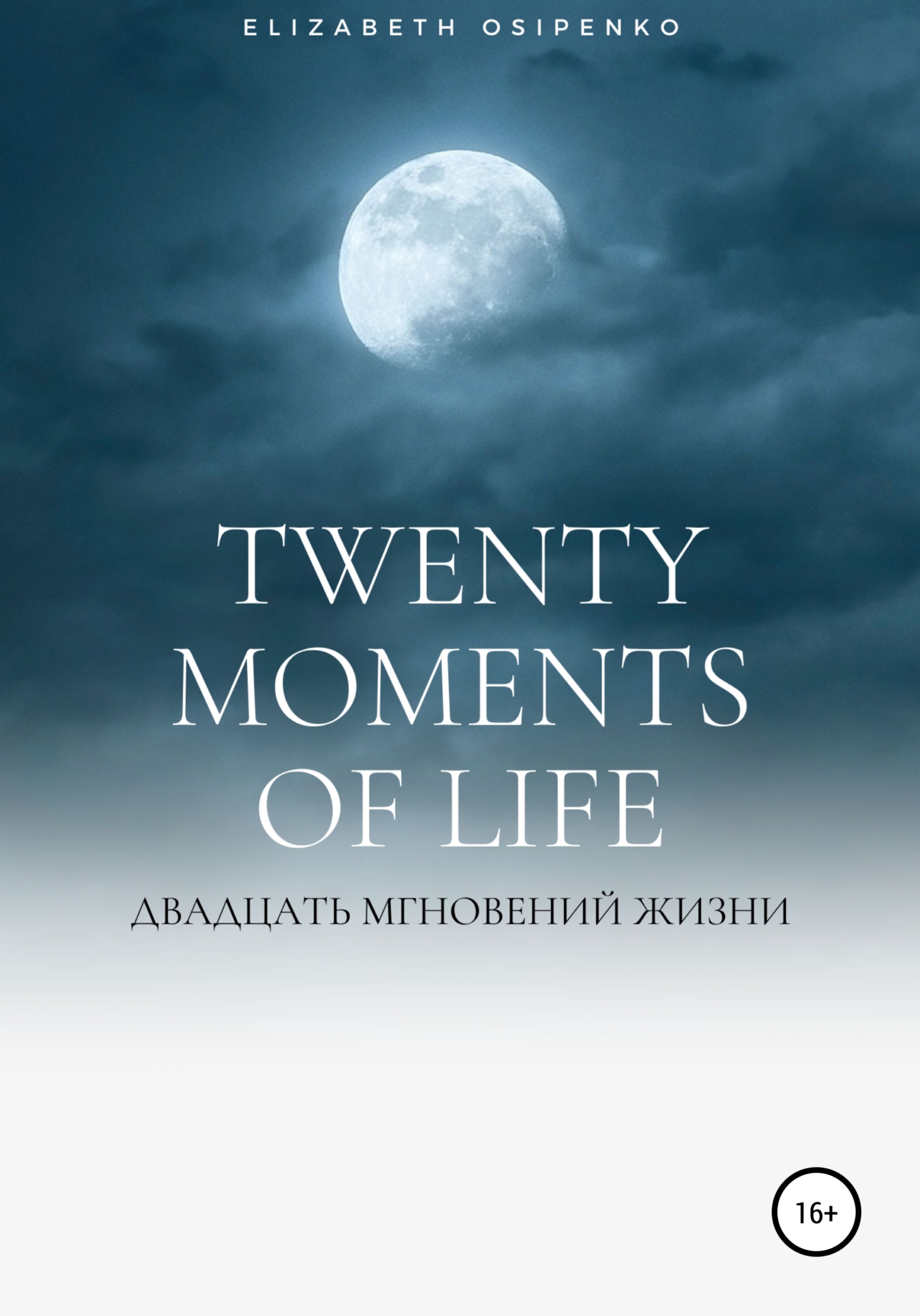 Twenty moments of life - Elizabeth Osipenko