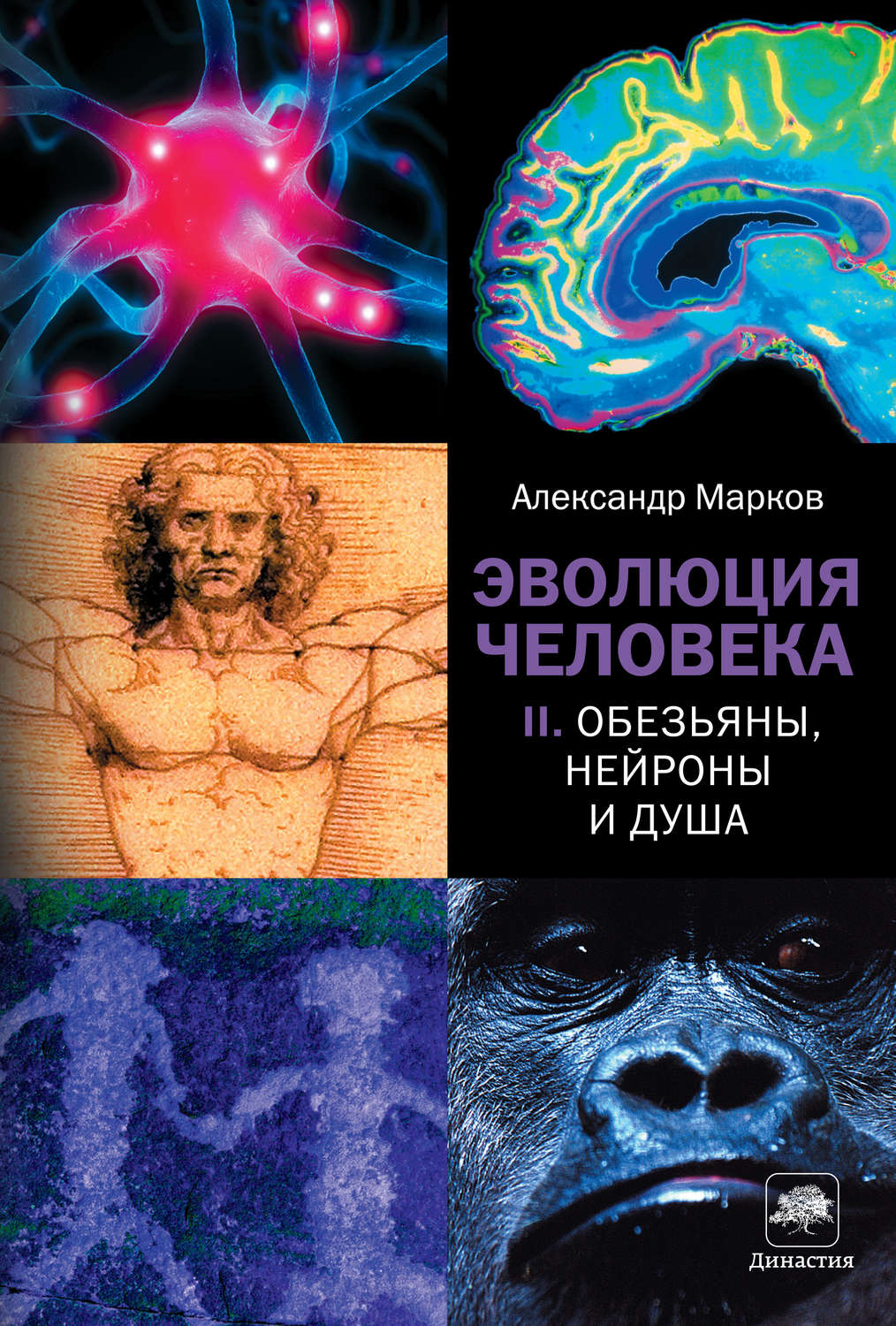 Эволюция человека. Книга II. Обезьяны, нейроны и душа - Александр Владимирович Марков