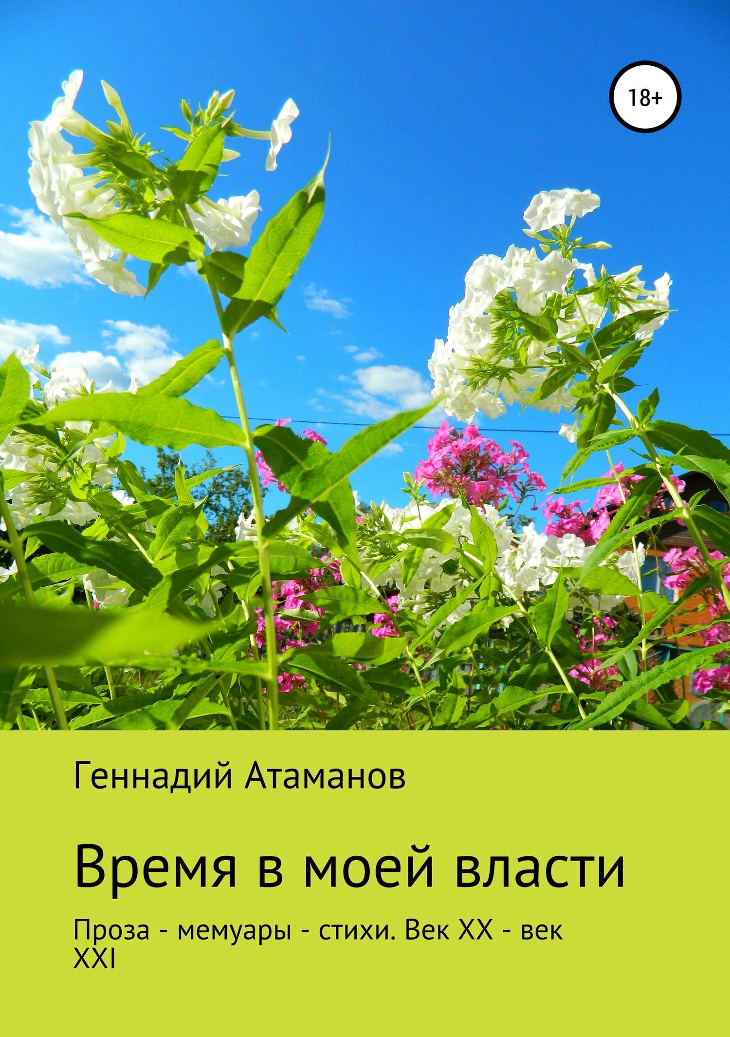 Время в моей власти - Геннадий Иванович Атаманов