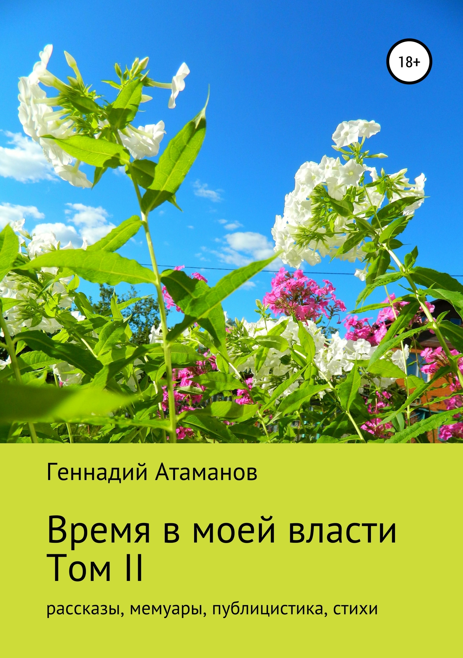 Время в моей власти. Том II: рассказы, мемуары, публицистика, стихи - Геннадий Иванович Атаманов