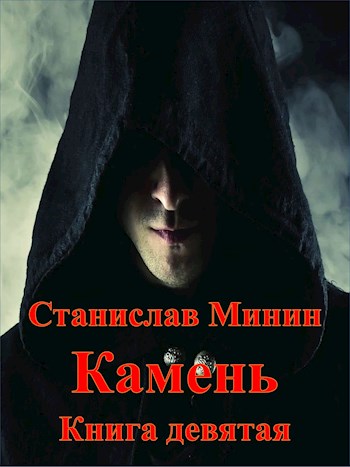 Камень. Книга 9 - Станислав Николаевич Минин