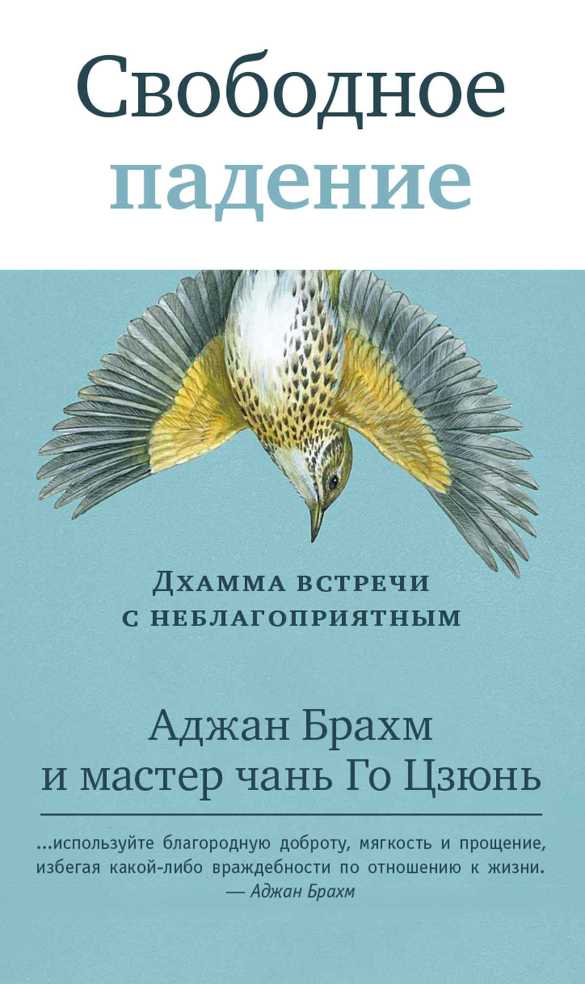 Свободное падение. Дхамма встречи с неблагоприятным - Аджан Брахм