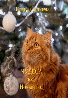 Чудеса под Новый год - Елена Викторовна Силкина