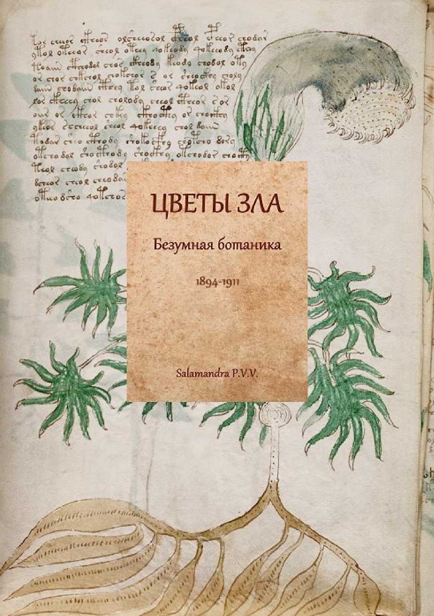 Цветы зла. Безумная ботаника. 1894-1911 - Реми де Гурмон