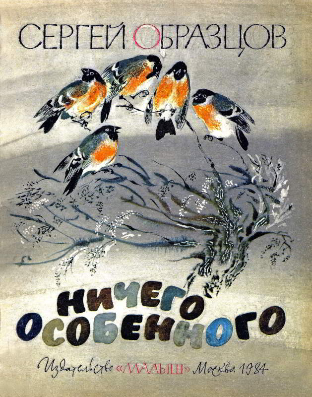 Ничего особенного - Сергей Владимирович Образцов