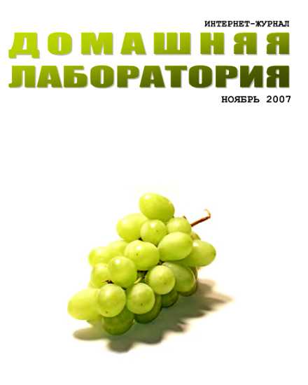 Интернет-журнал &quot;Домашняя лаборатория&quot;, 2007 №11 - Журнал «Домашняя лаборатория»