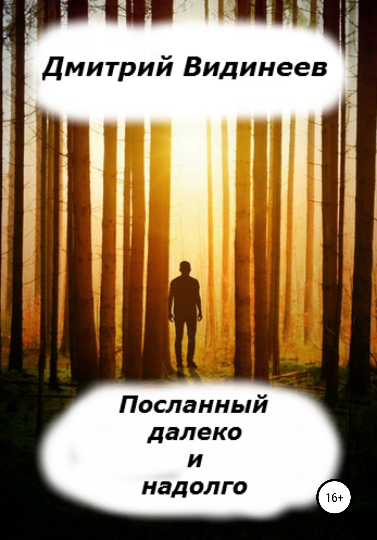 Посланный далеко и надолго - Дмитрий Александрович Видинеев