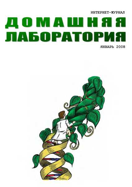 Интернет-журнал &quot;Домашняя лаборатория&quot;, 2008 №1 - Журнал «Домашняя лаборатория»