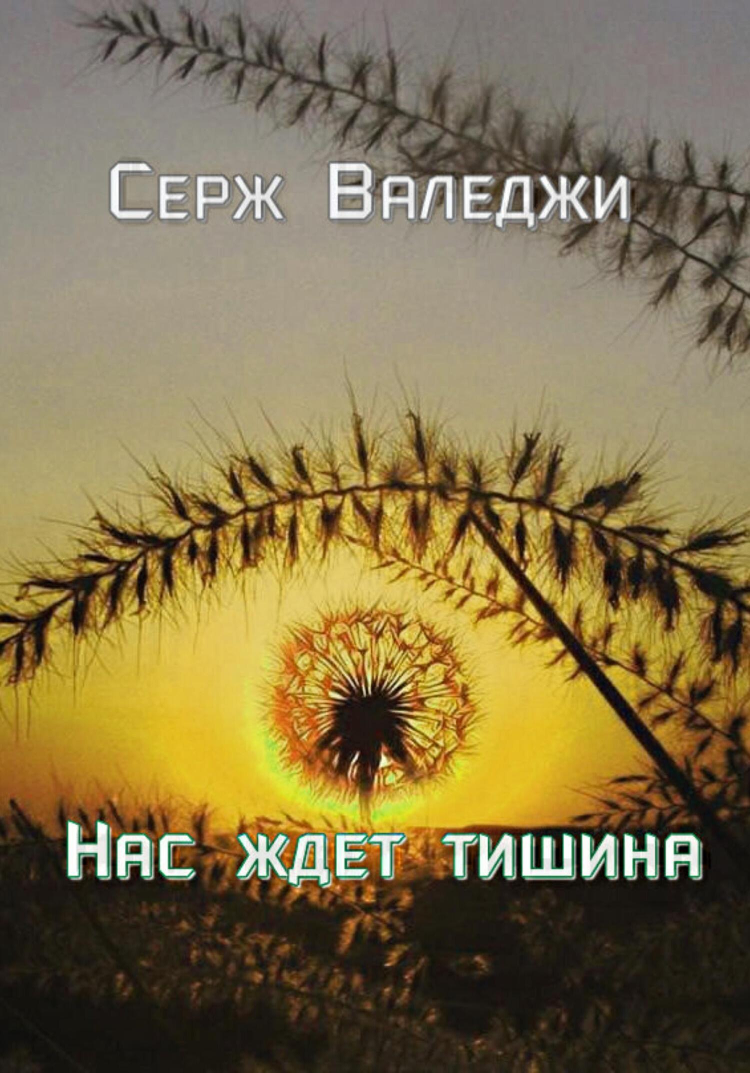 Нас ждет тишина - Серж Валеджи