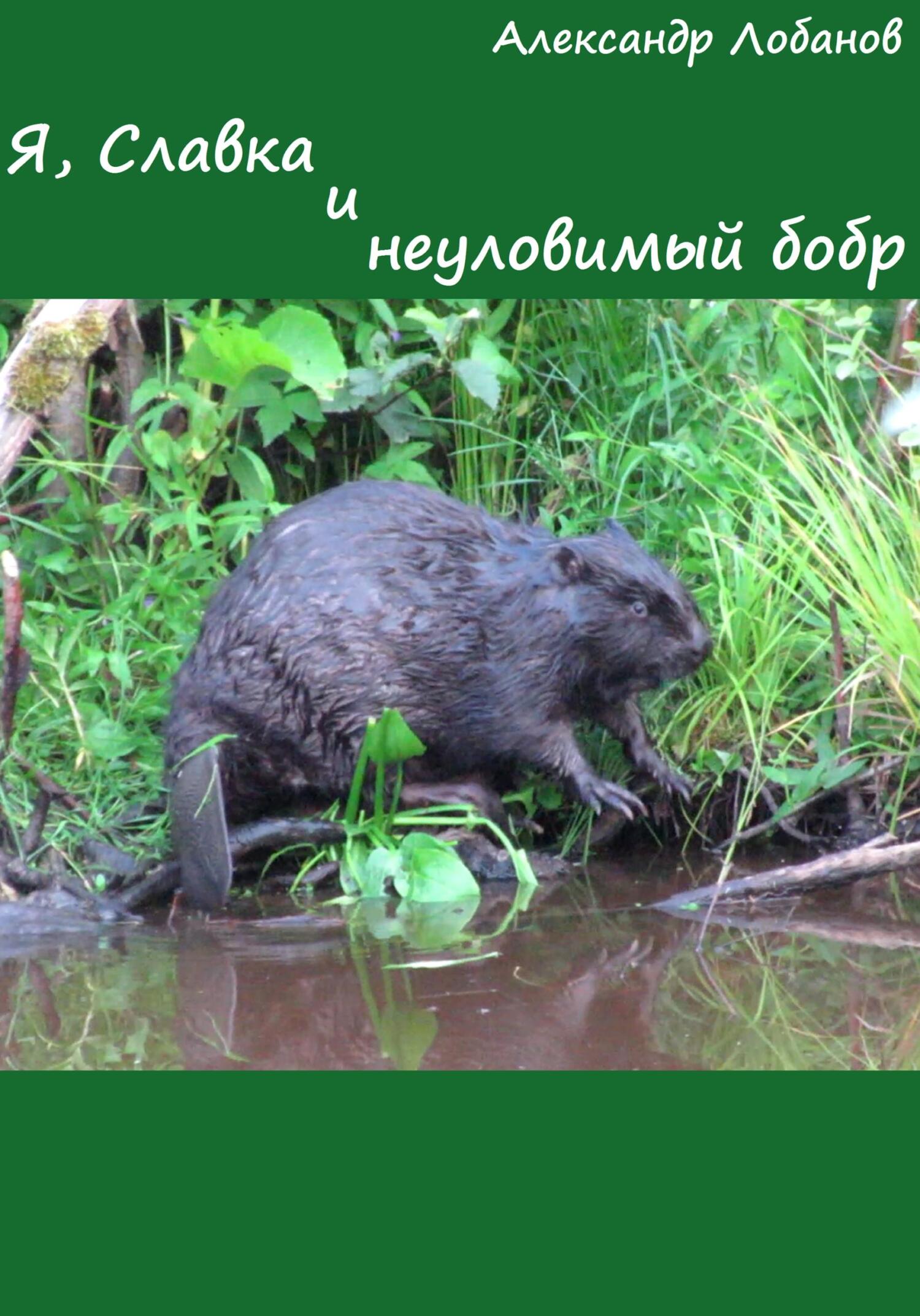 Я, Славка и неуловимый бобр - Александр Олегович Лобанов