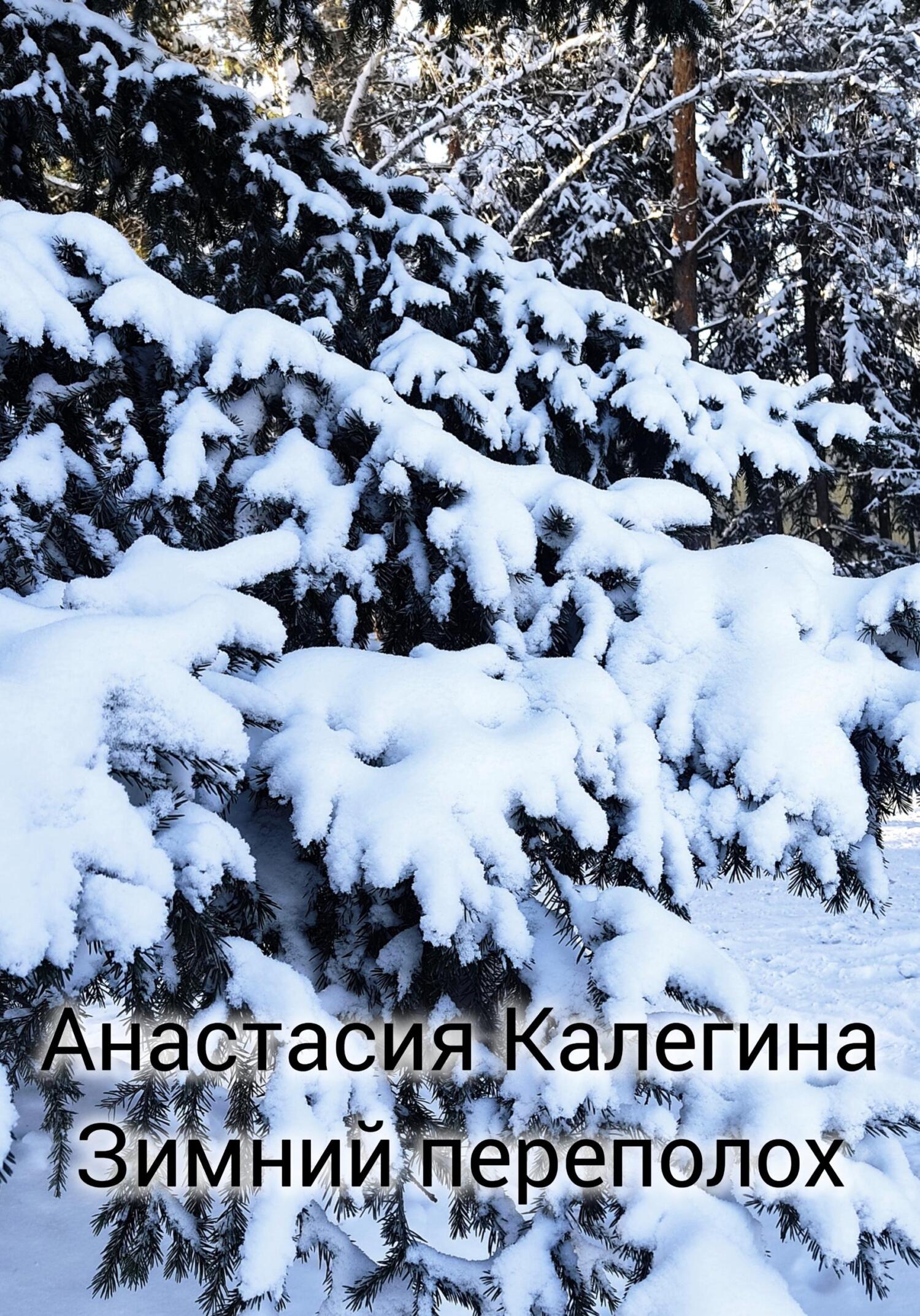 Зимний переполох - Анастасия Калегина