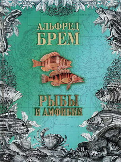 Жизнь животных. Рыбы и амфибии - Брем Альфред Эдмунд