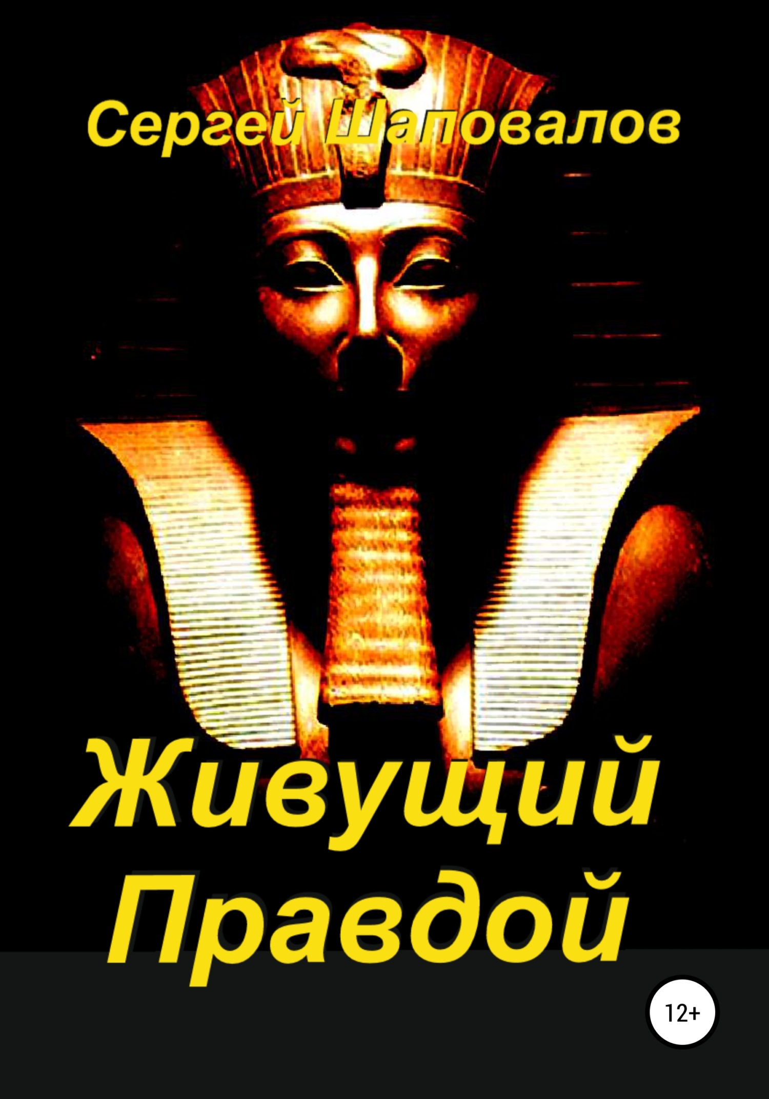 Живущий Правдой - Сергей Анатольевич Шаповалов