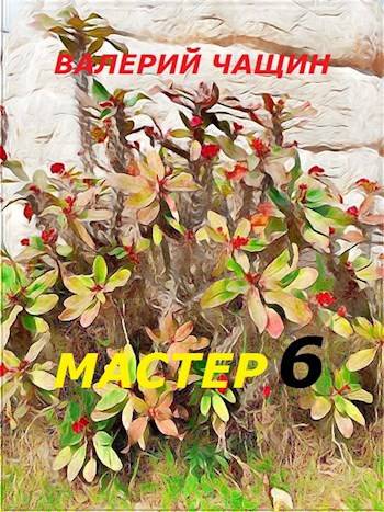 Мастер 6 - Валерий Чащин