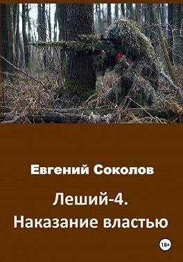 Наказание властью - Евгений Владимирович Соколов