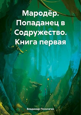 Попаданец в Содружество - Владимир Геннадьевич Поселягин