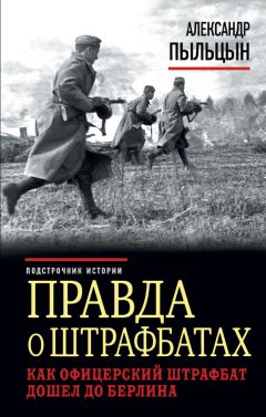 Александр Пыльцын - Правда о штрафбатах. Как офицерский штрафбат дошел до Берлина